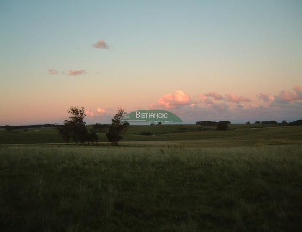 Campo Ref.2825 - Campo en , 
