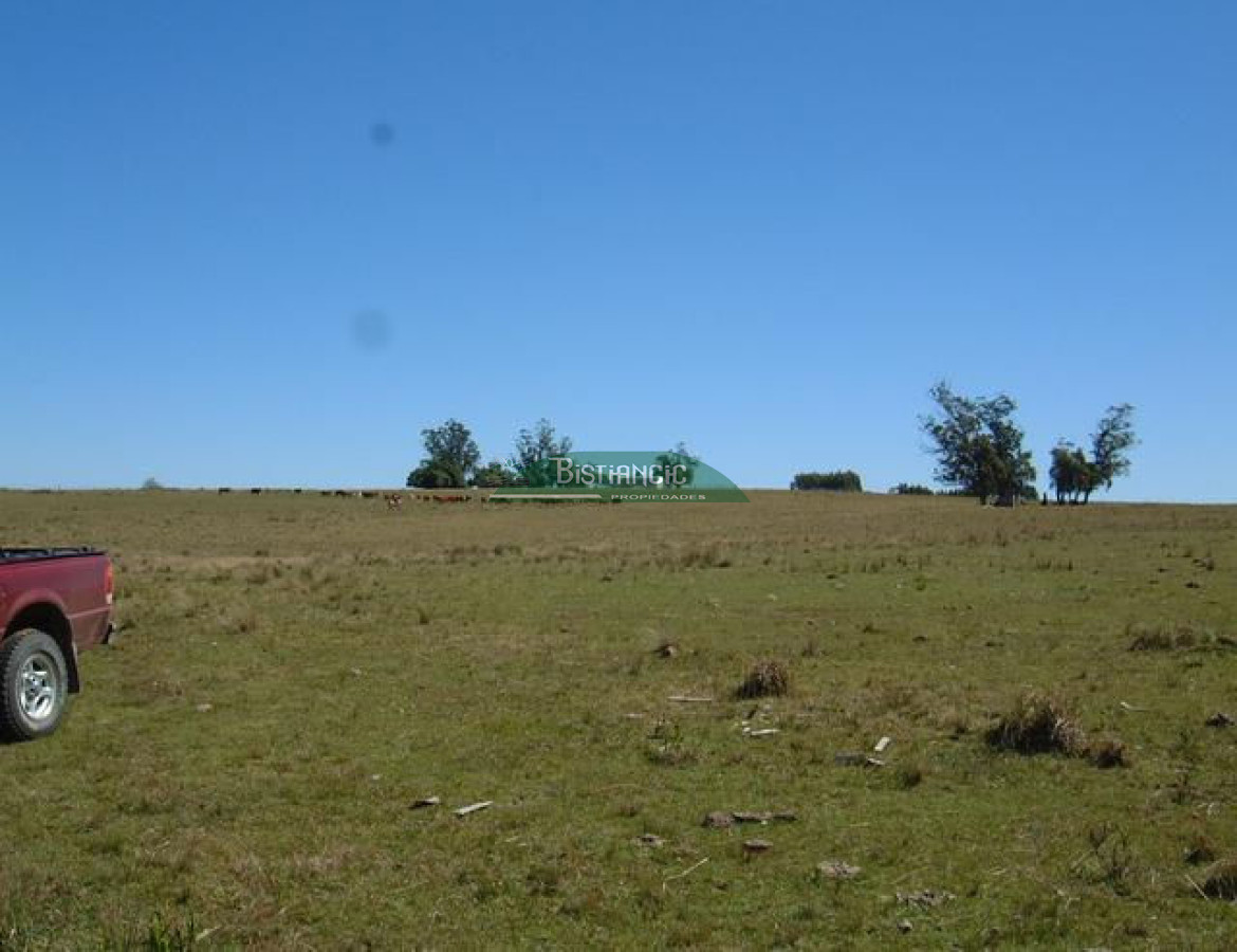 Campo Ref.2825 - Campo en , 
