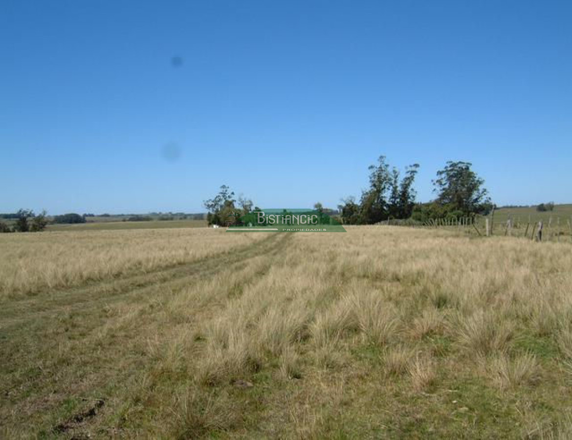 Campo Ref.2825 - Campo en , 