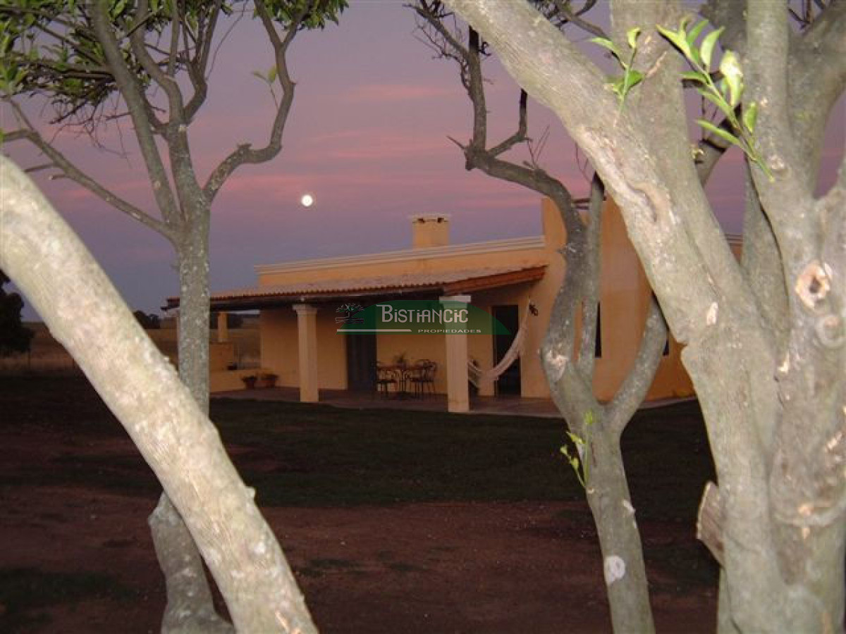 Campo Ref.2825 - Campo en , 
