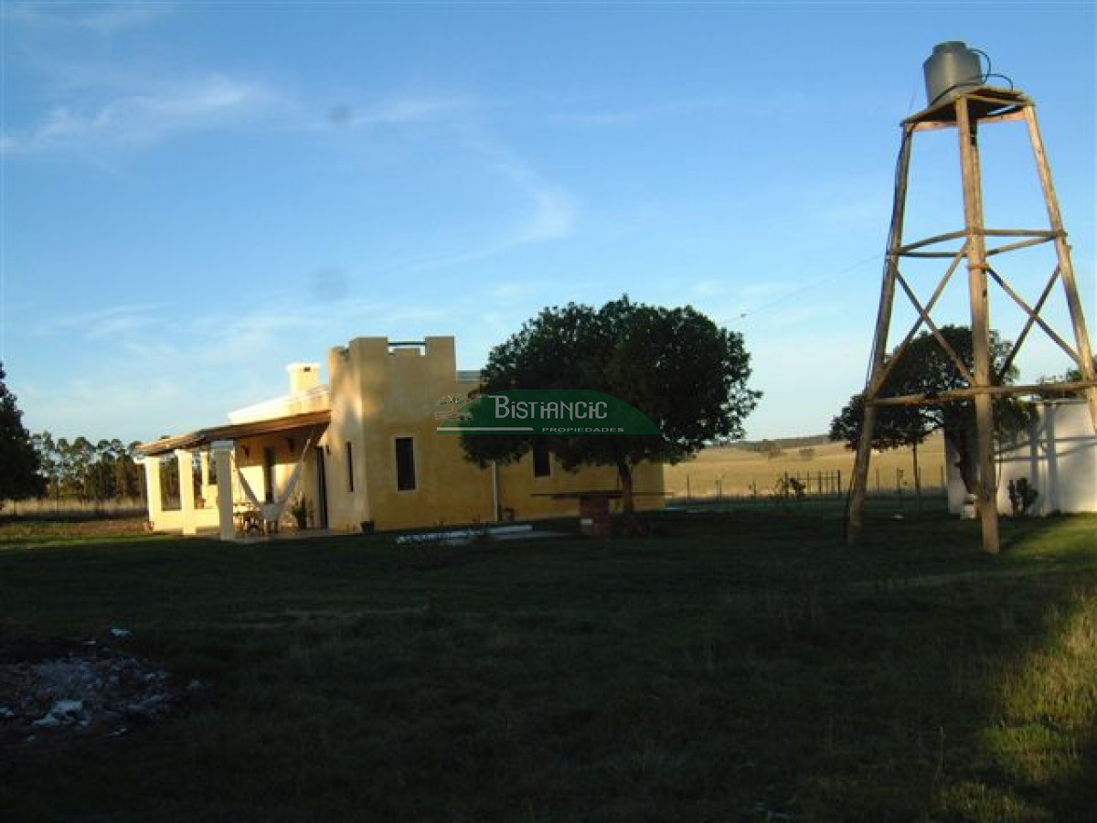 Campo Ref.2825 - Campo en , 