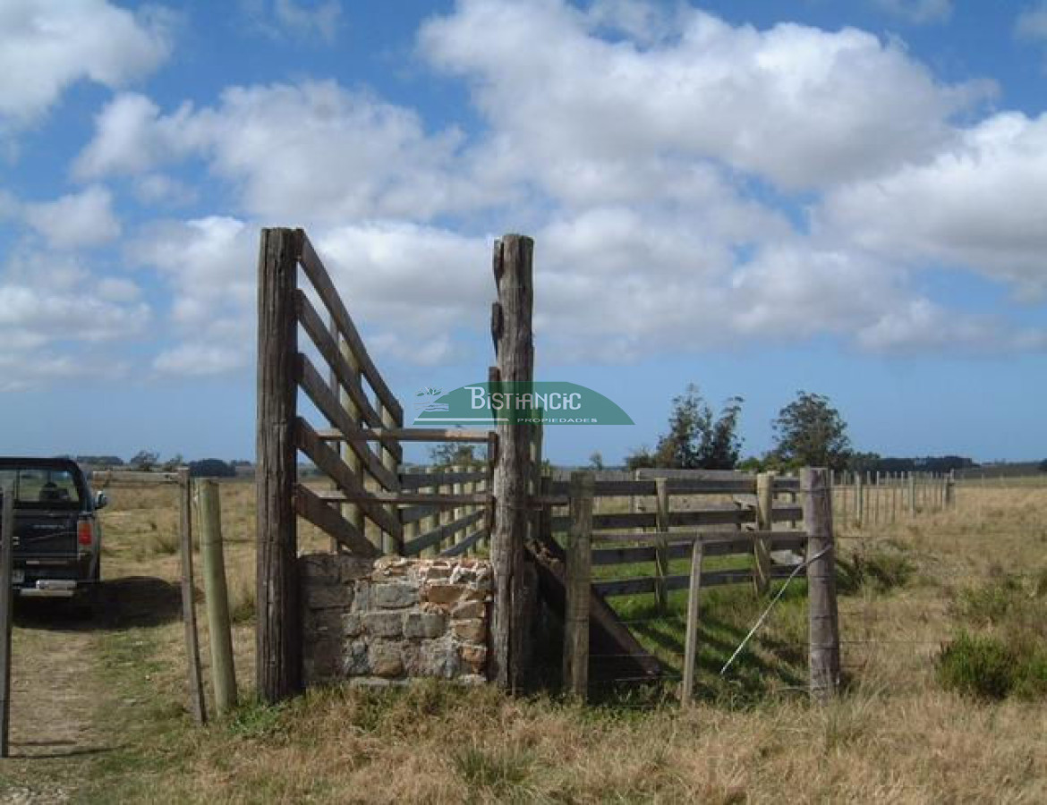 Campo Ref.2825 - Campo en , 