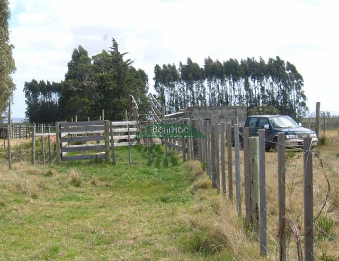 Campo Ref.2825 - Campo en , 