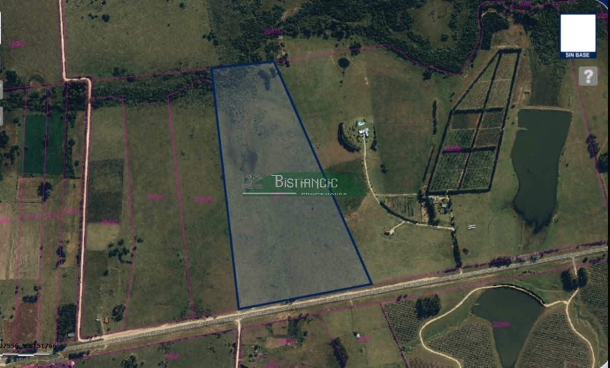 Campo Ref.2935 - 24 hect sobre Ruta 9, paraje José Ignacio, buen campo, ideal emprendimiento. Consulte