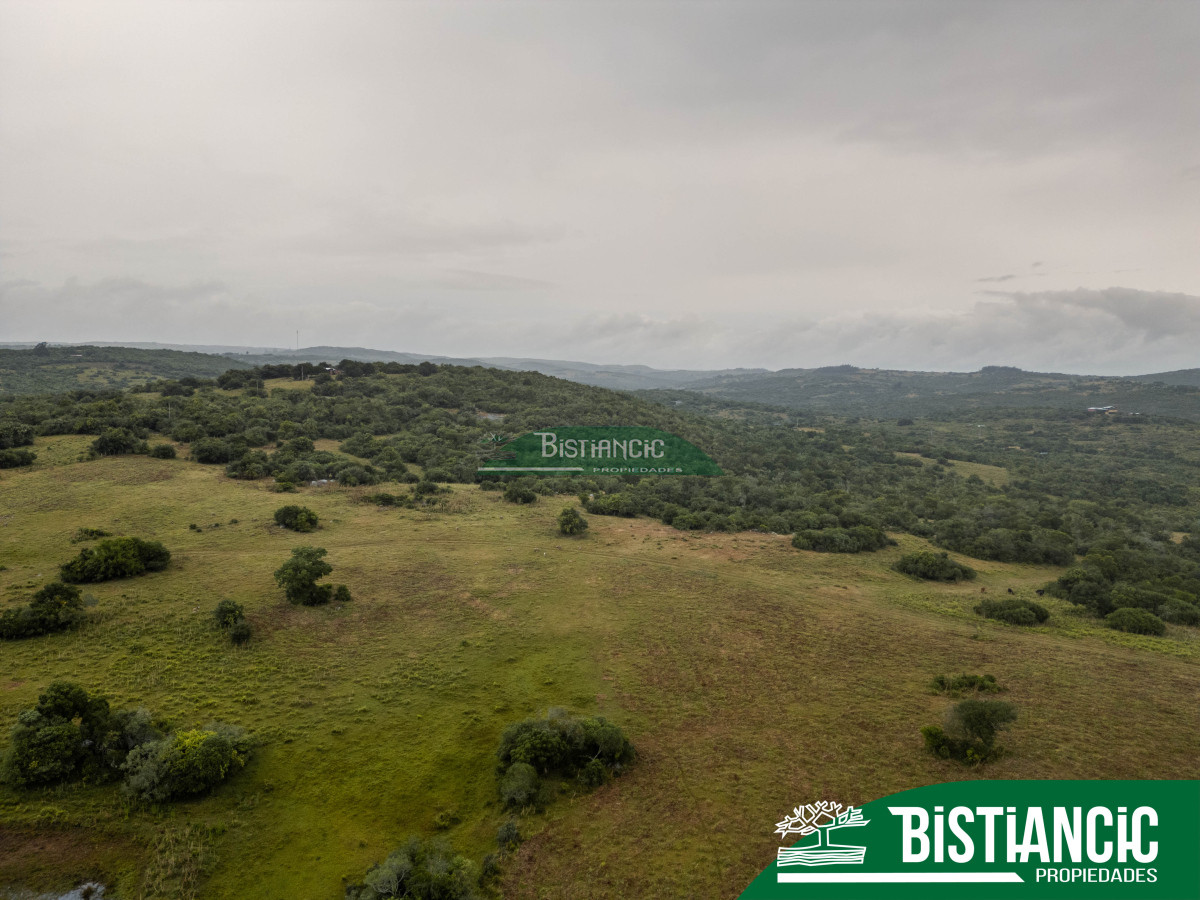 Campo Ref.2928 - Campo 54 hectáreas. Prox Aiguá, Frente sobre ruta 109 