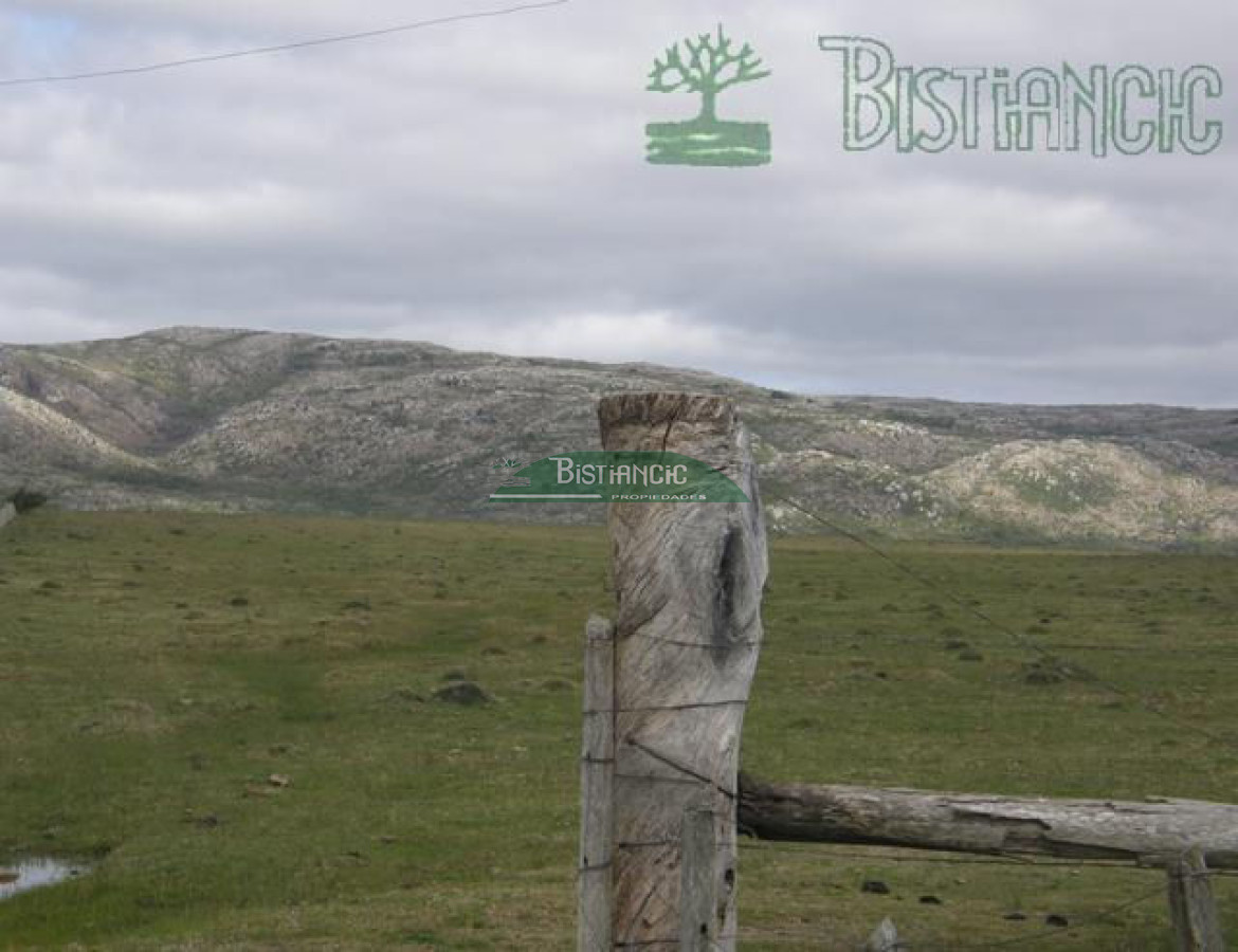 Campo Ref.2827 - Campo en , 