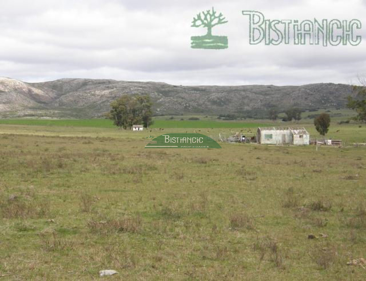 Campo Ref.2827 - Campo en , 