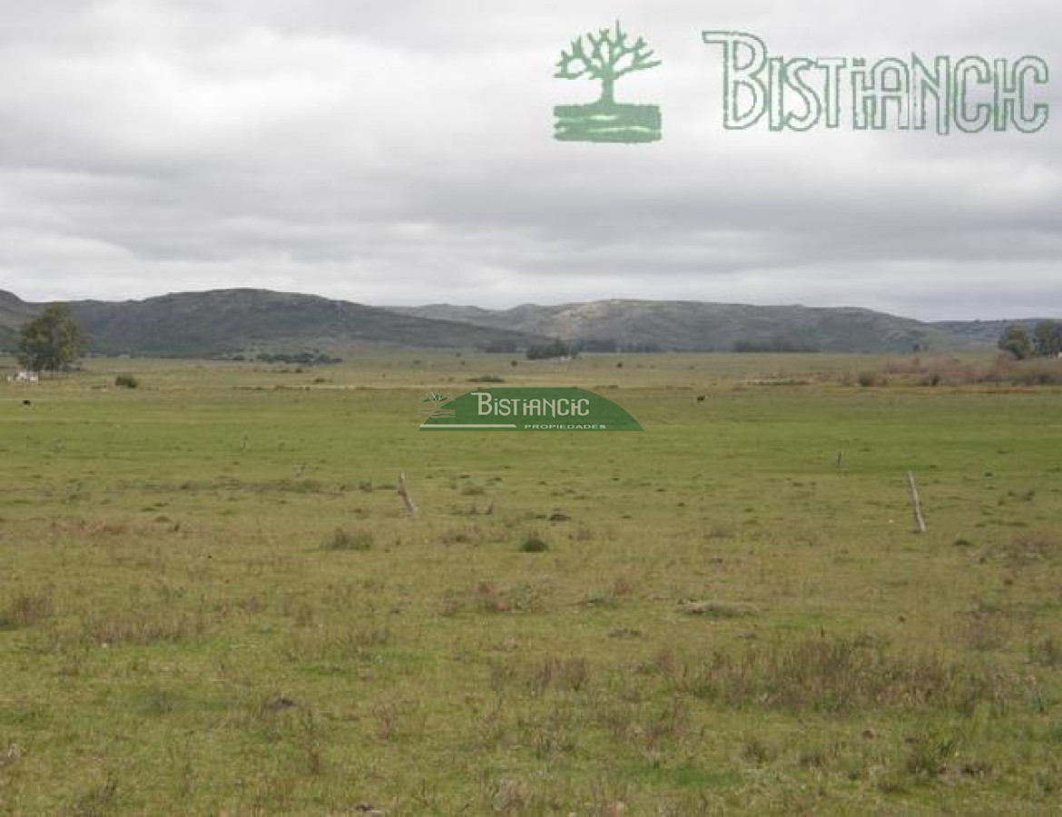 Campo Ref.2827 - Campo en , 