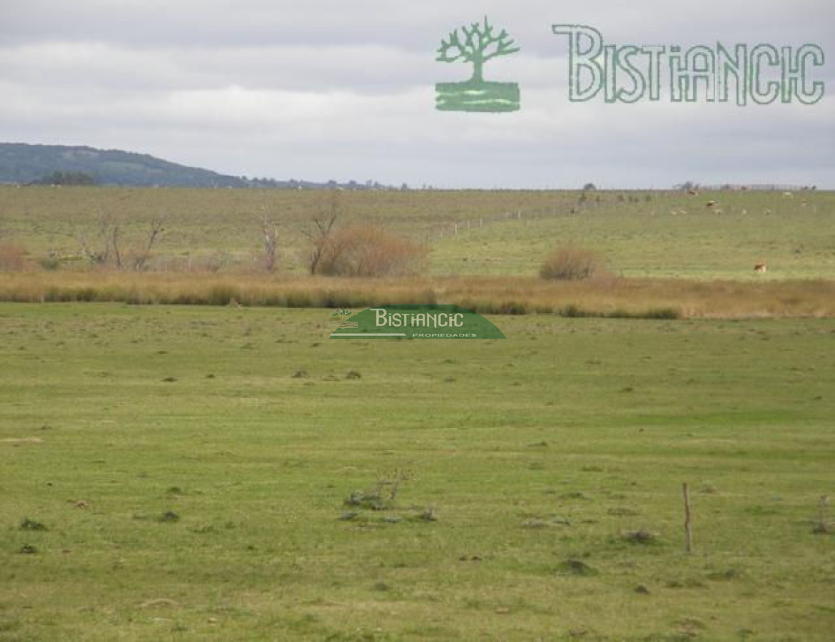 Campo Ref.2827 - Campo en , 