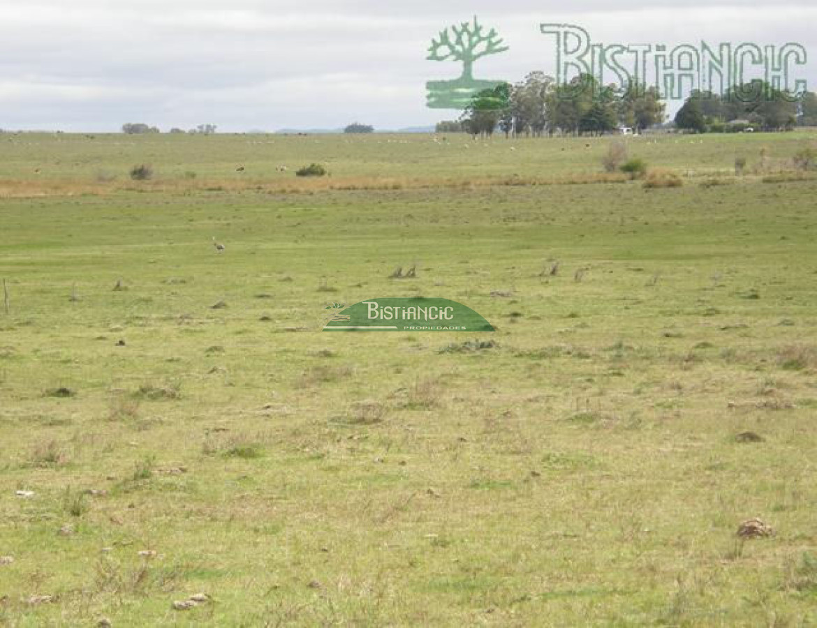 Campo Ref.2827 - Campo en , 
