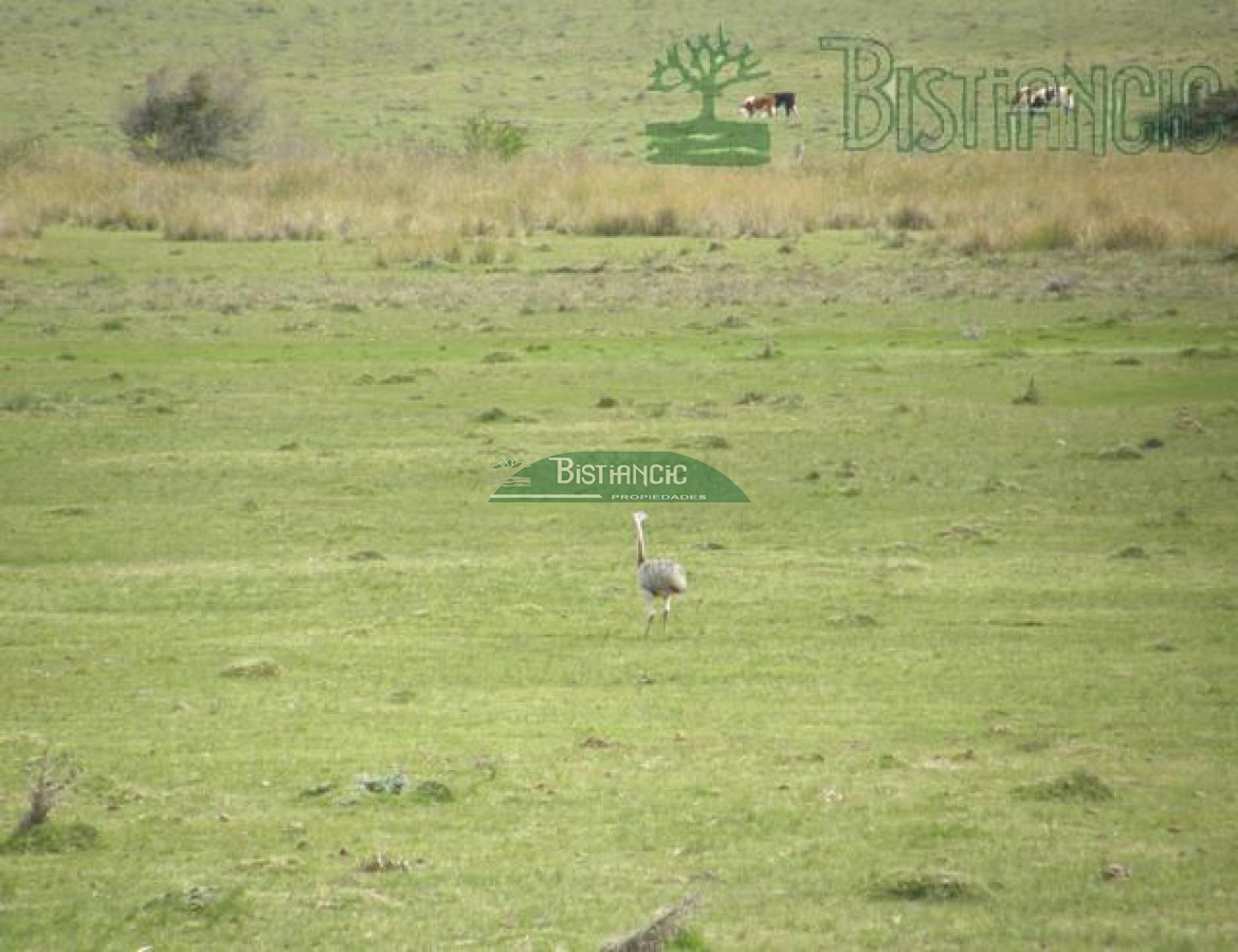 Campo Ref.2827 - Campo en , 