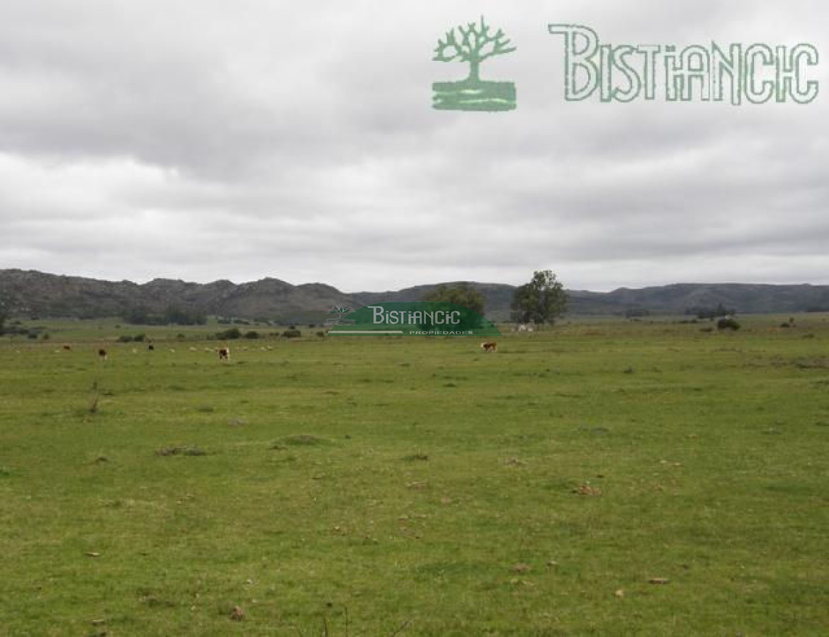 Campo Ref.2827 - Campo en , 