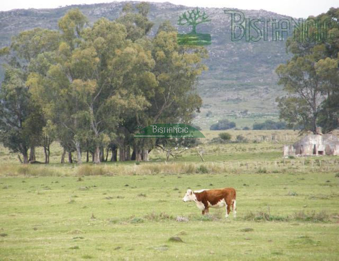 Campo Ref.2827 - Campo en , 