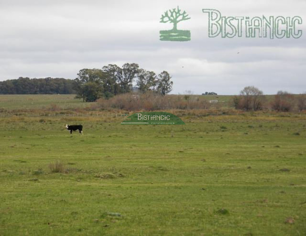Campo Ref.2827 - Campo en , 