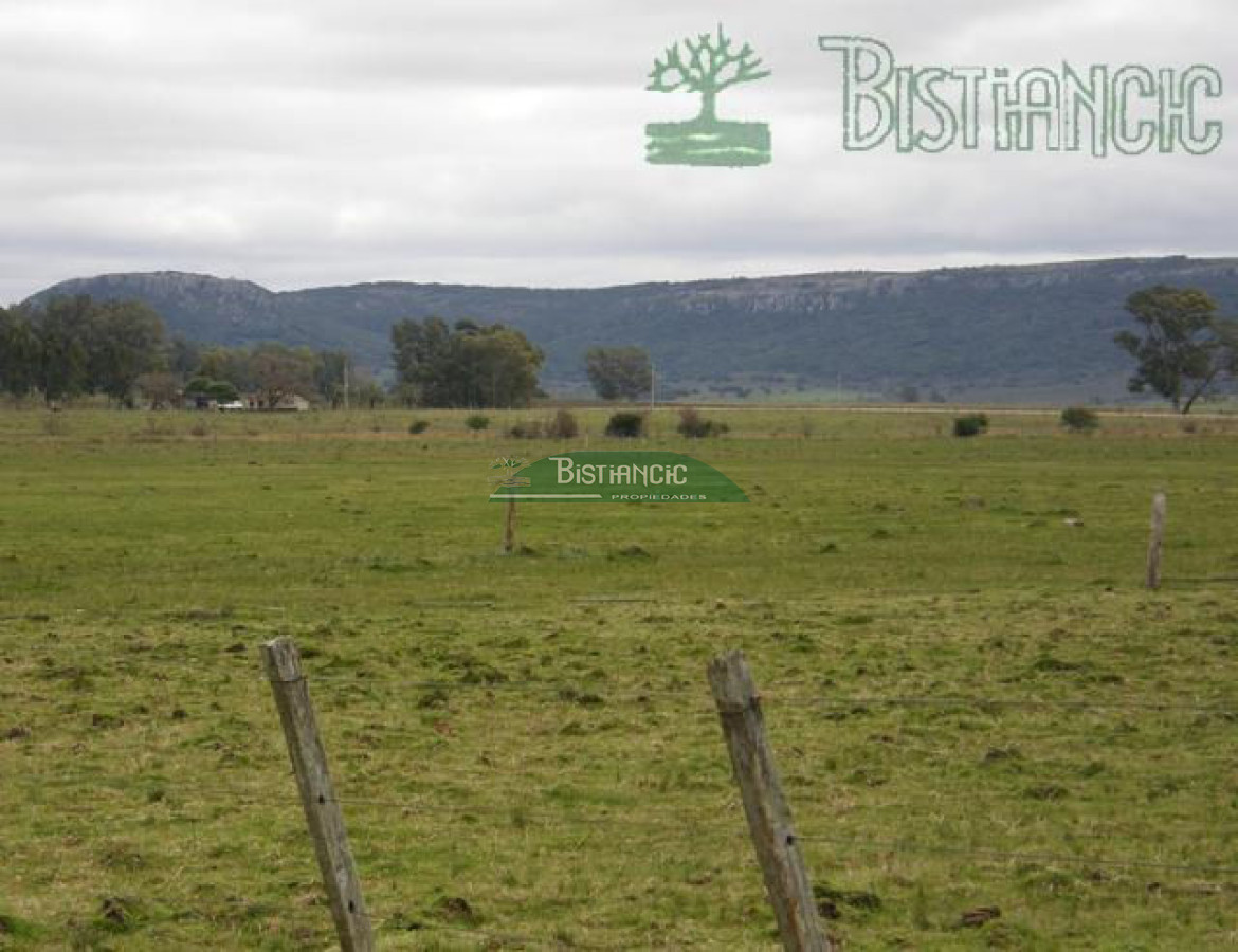 Campo Ref.2827 - Campo en , 