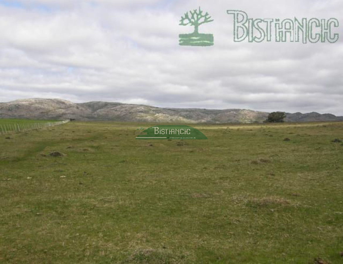 Campo Ref.2827 - Campo en , 