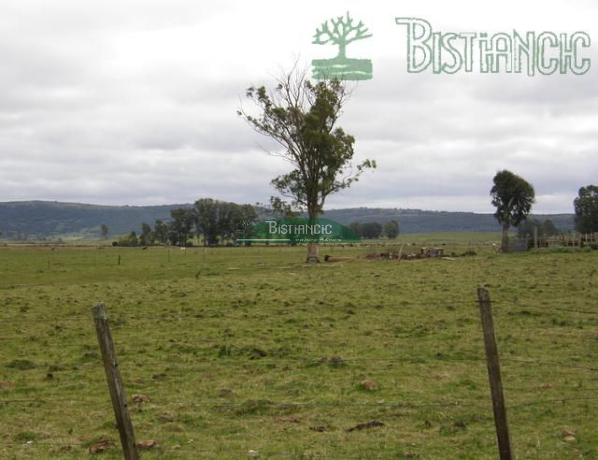 Campo Ref.2827 - Campo en , 
