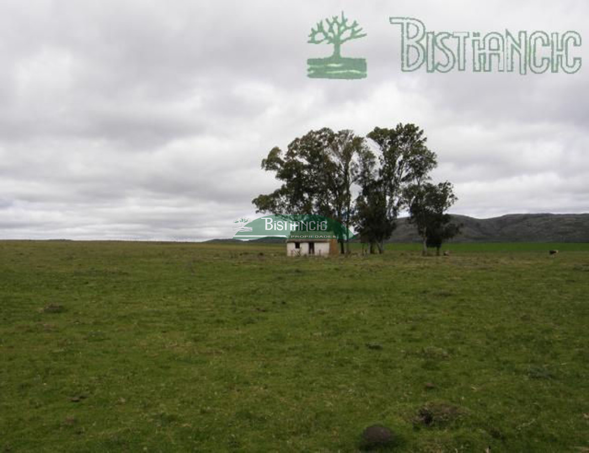 Campo Ref.2827 - Campo en , 