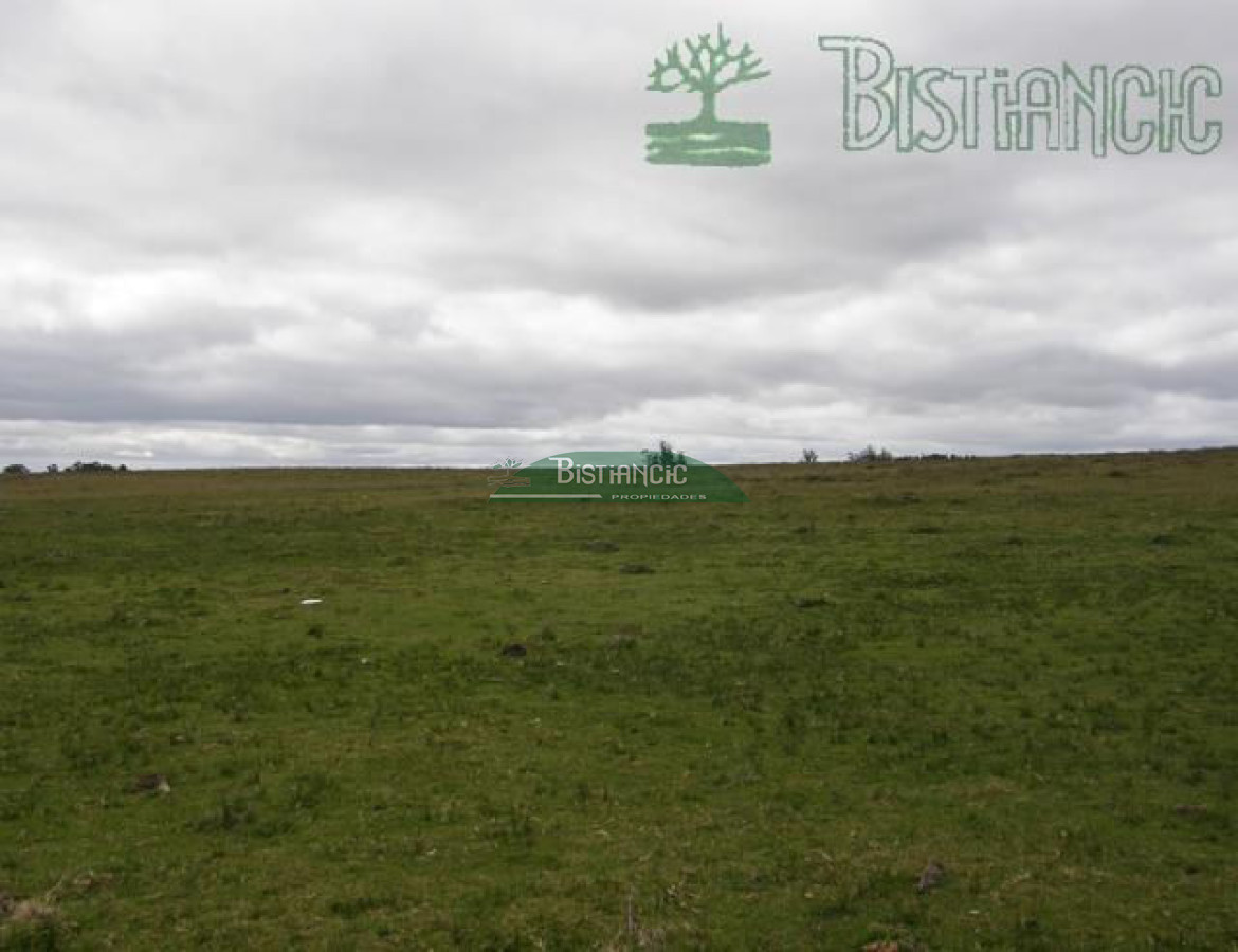 Campo Ref.2827 - Campo en , 