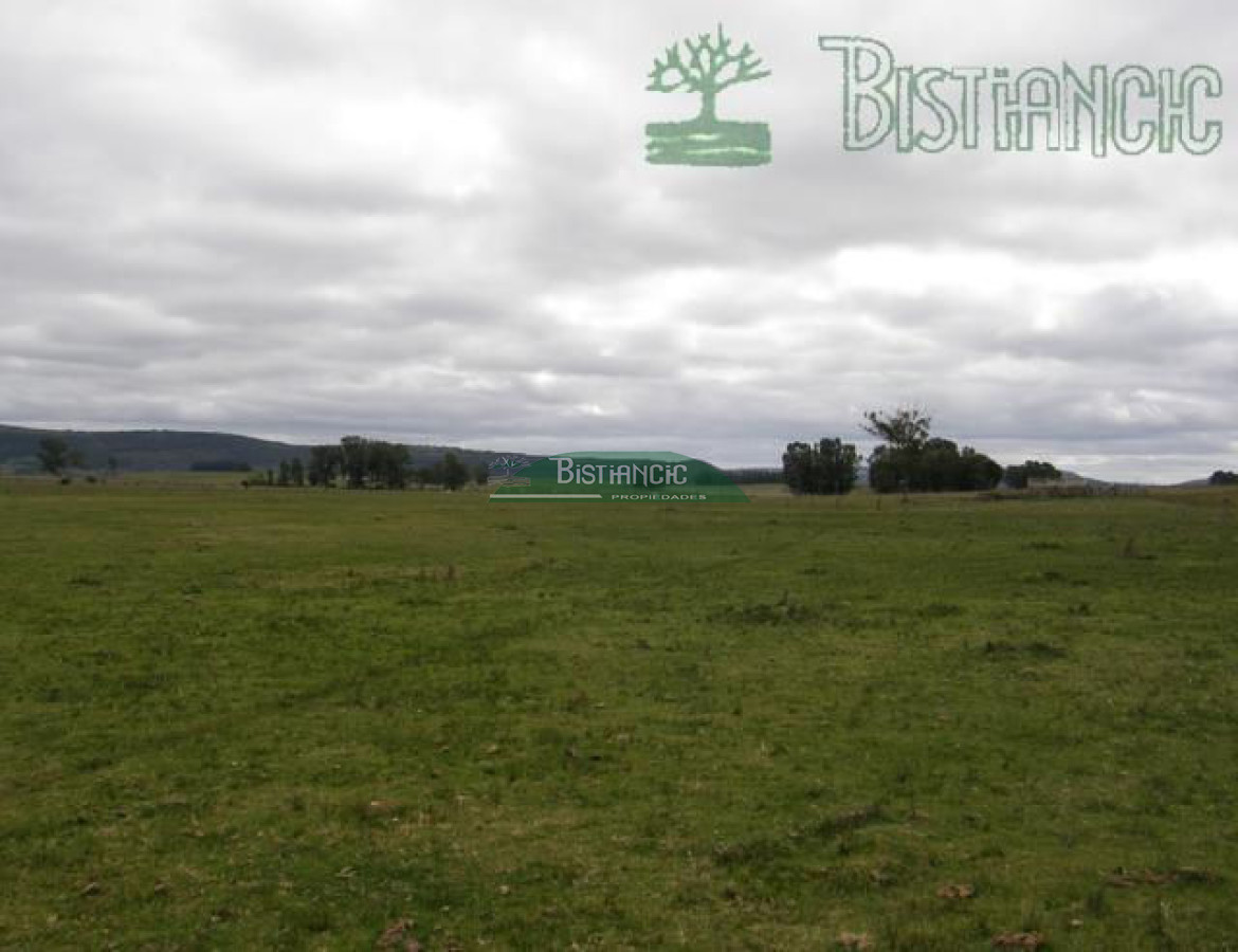 Campo Ref.2827 - Campo en , 