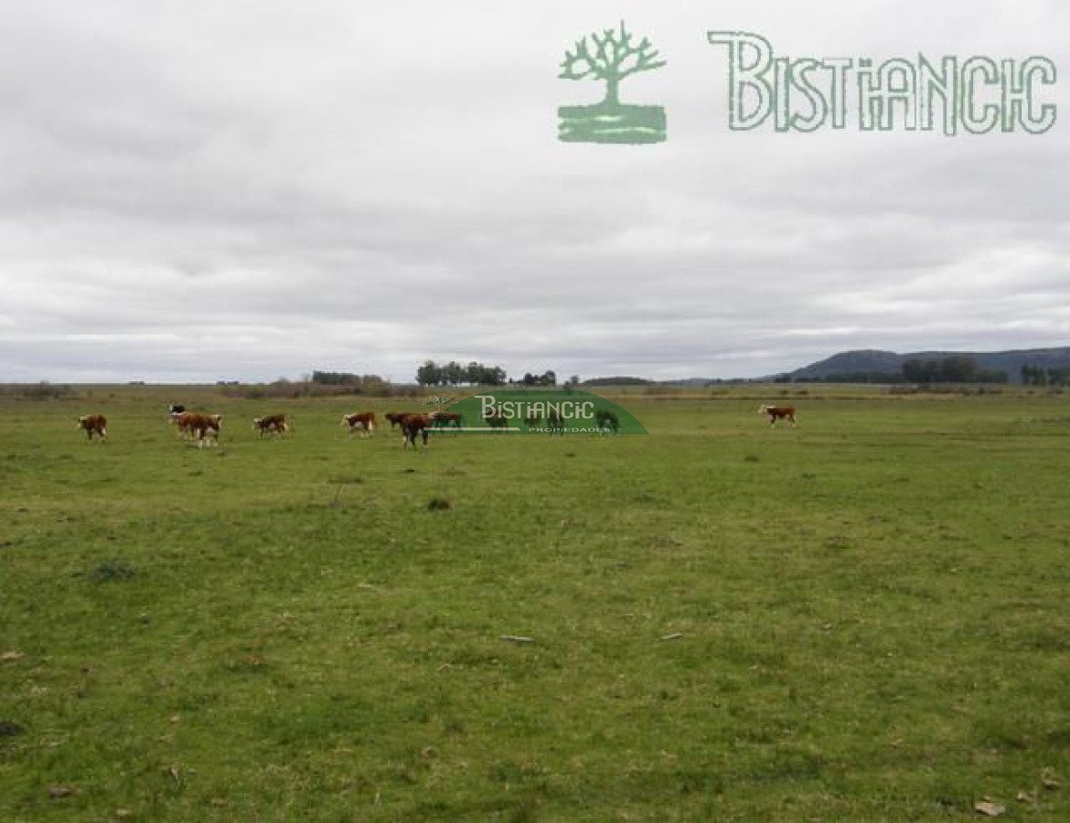 Campo Ref.2827 - Campo en , 