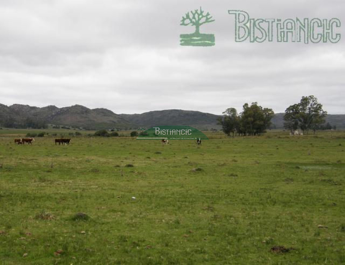 Campo Ref.2827 - Campo en , 