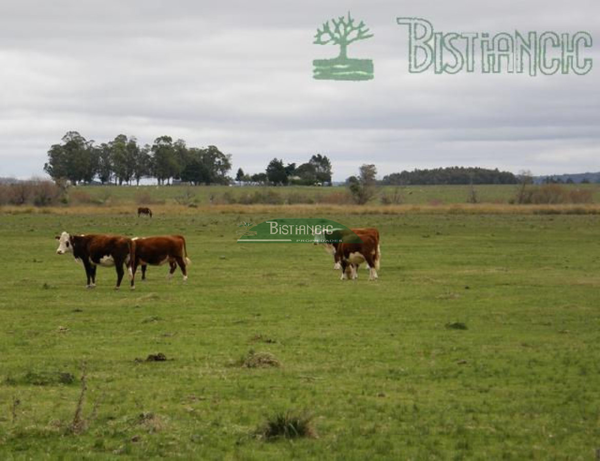 Campo Ref.2827 - Campo en , 