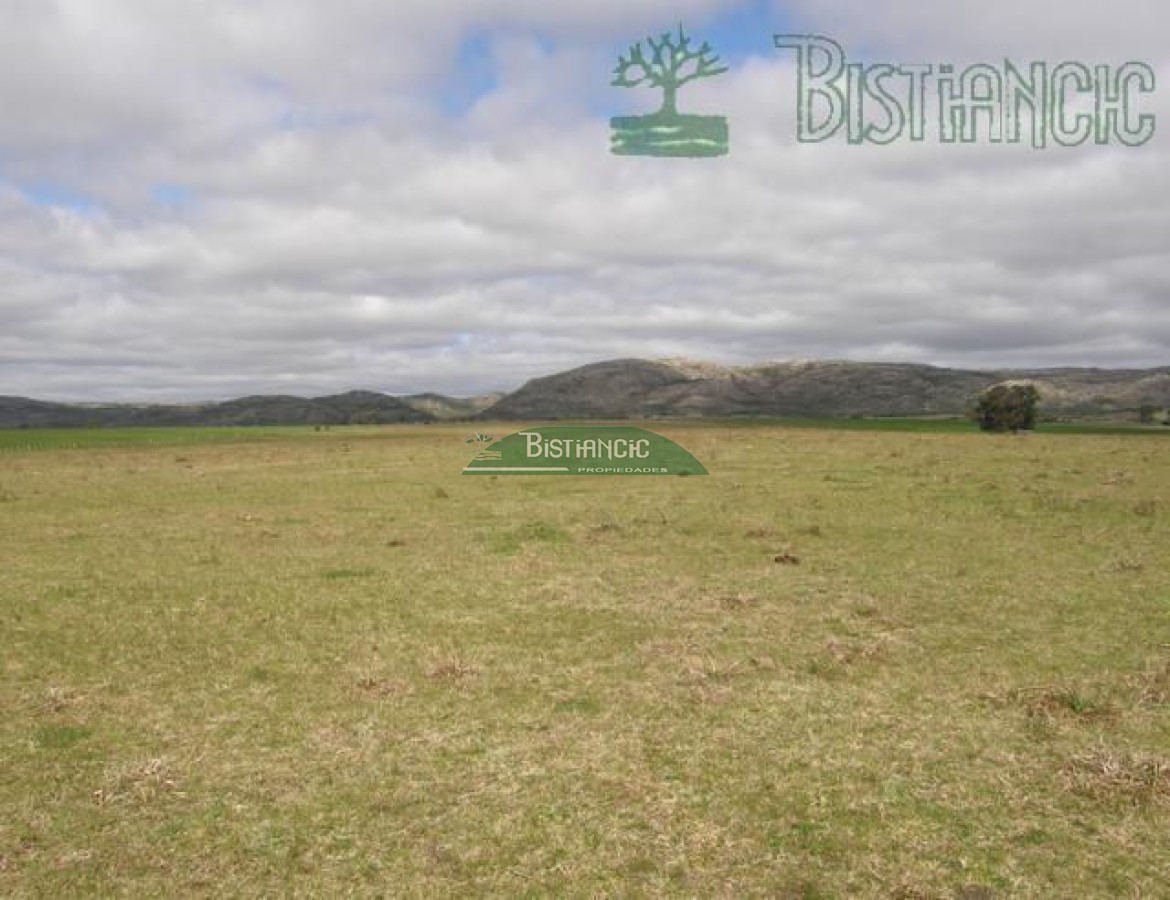 Campo Ref.2827 - Campo en , 