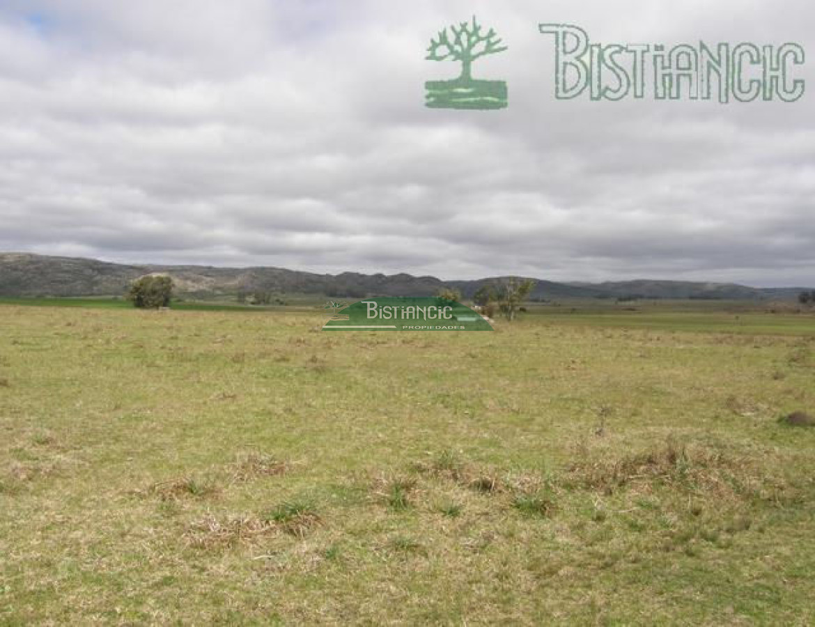 Campo Ref.2827 - Campo en , 