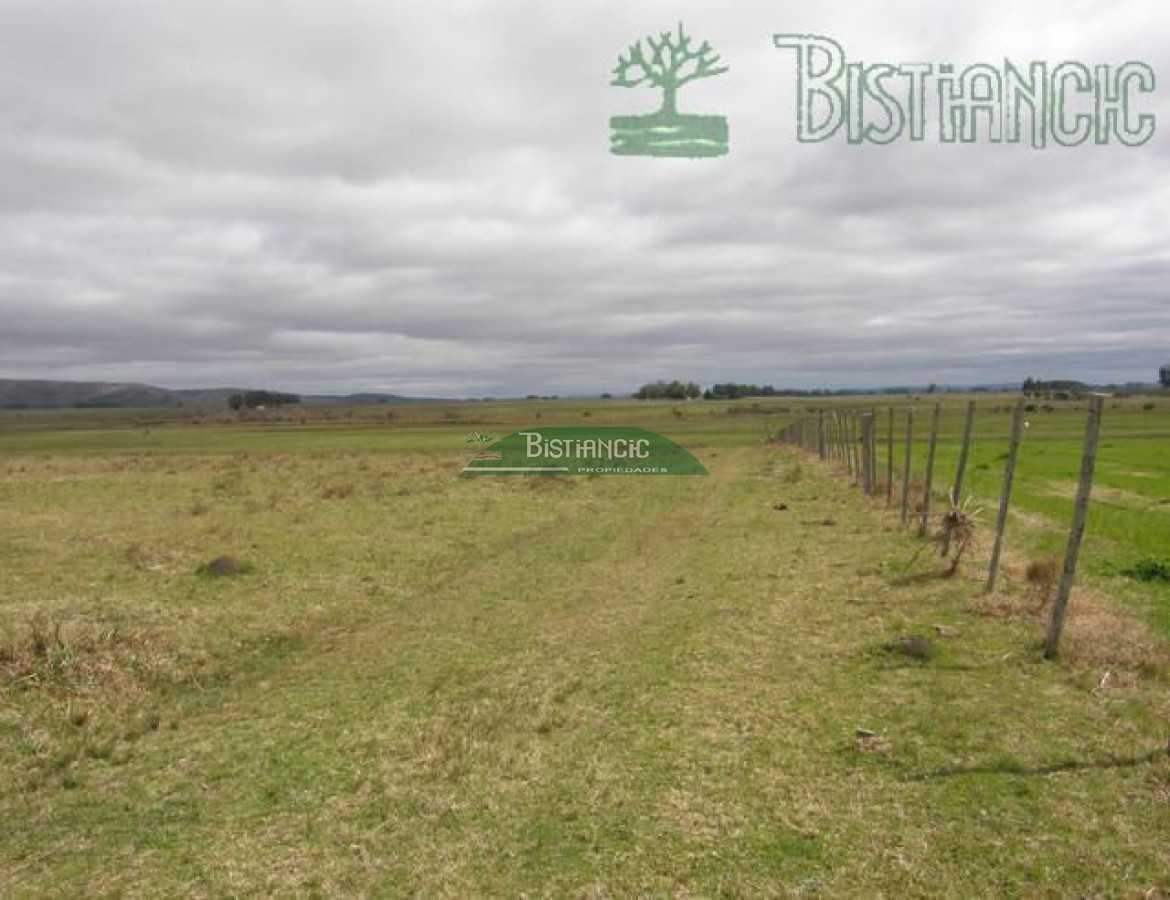 Campo Ref.2827 - Campo en , 