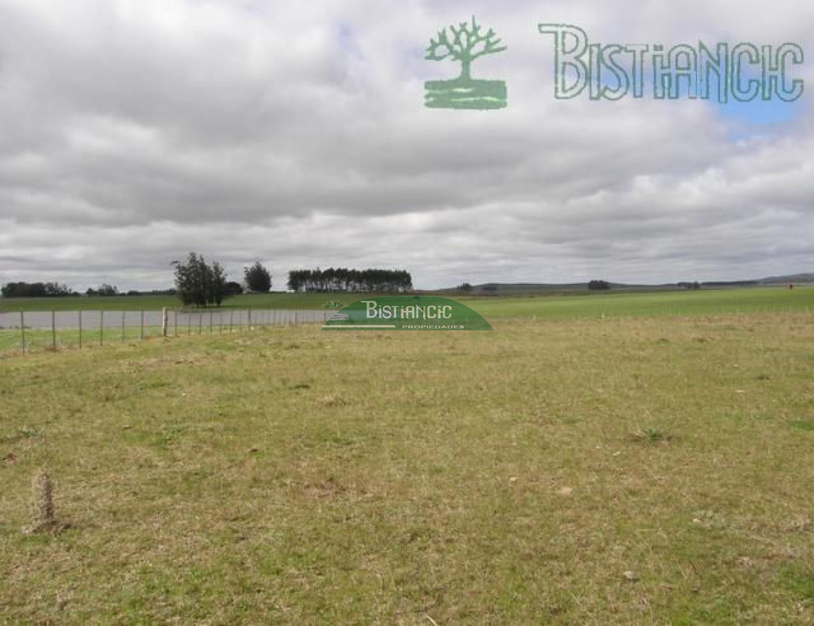 Campo Ref.2827 - Campo en , 