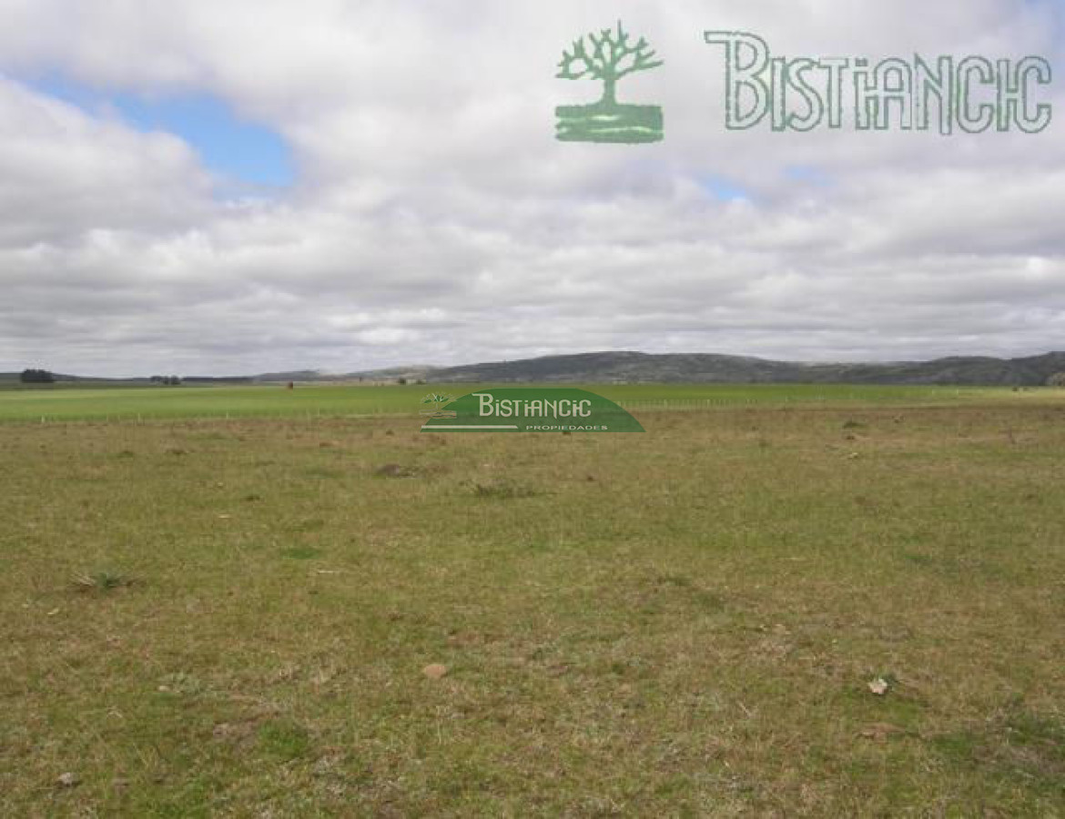 Campo Ref.2827 - Campo en , 