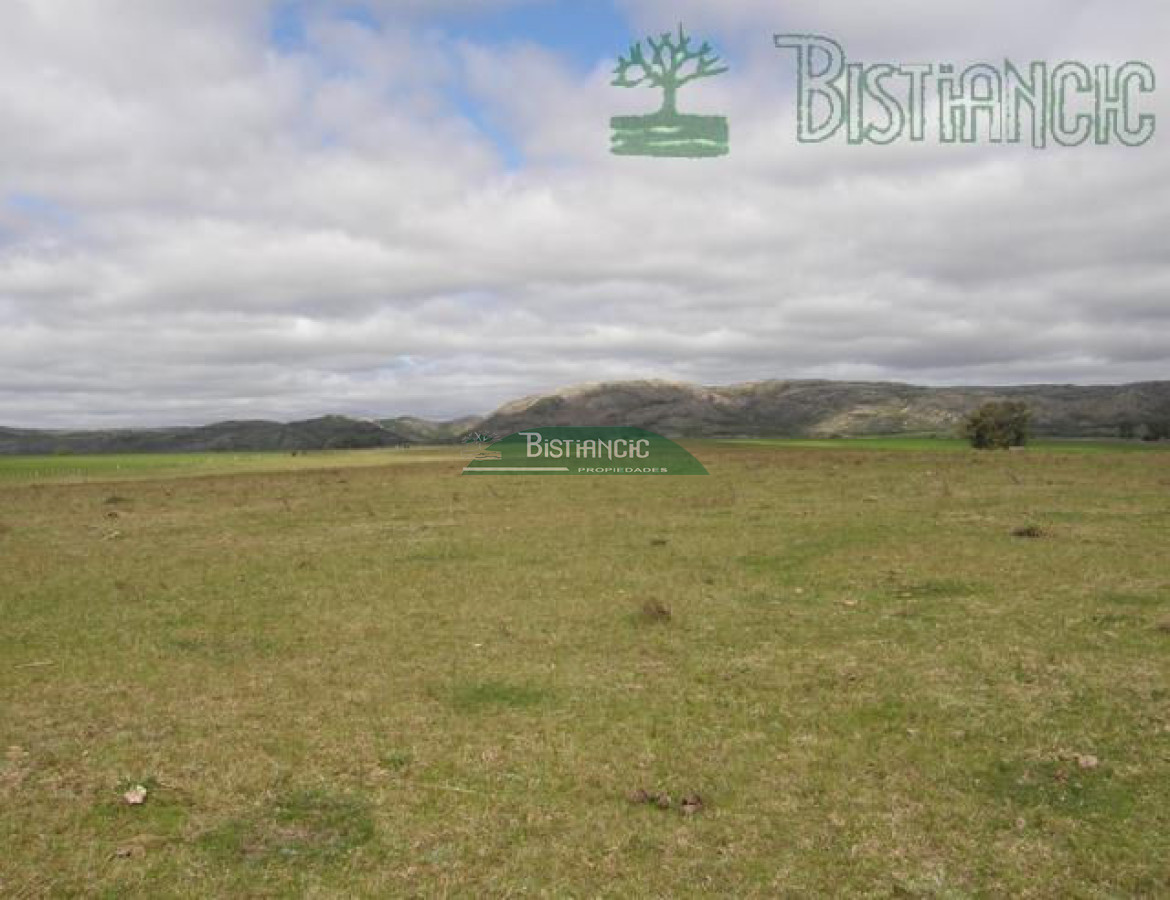 Campo Ref.2827 - Campo en , 