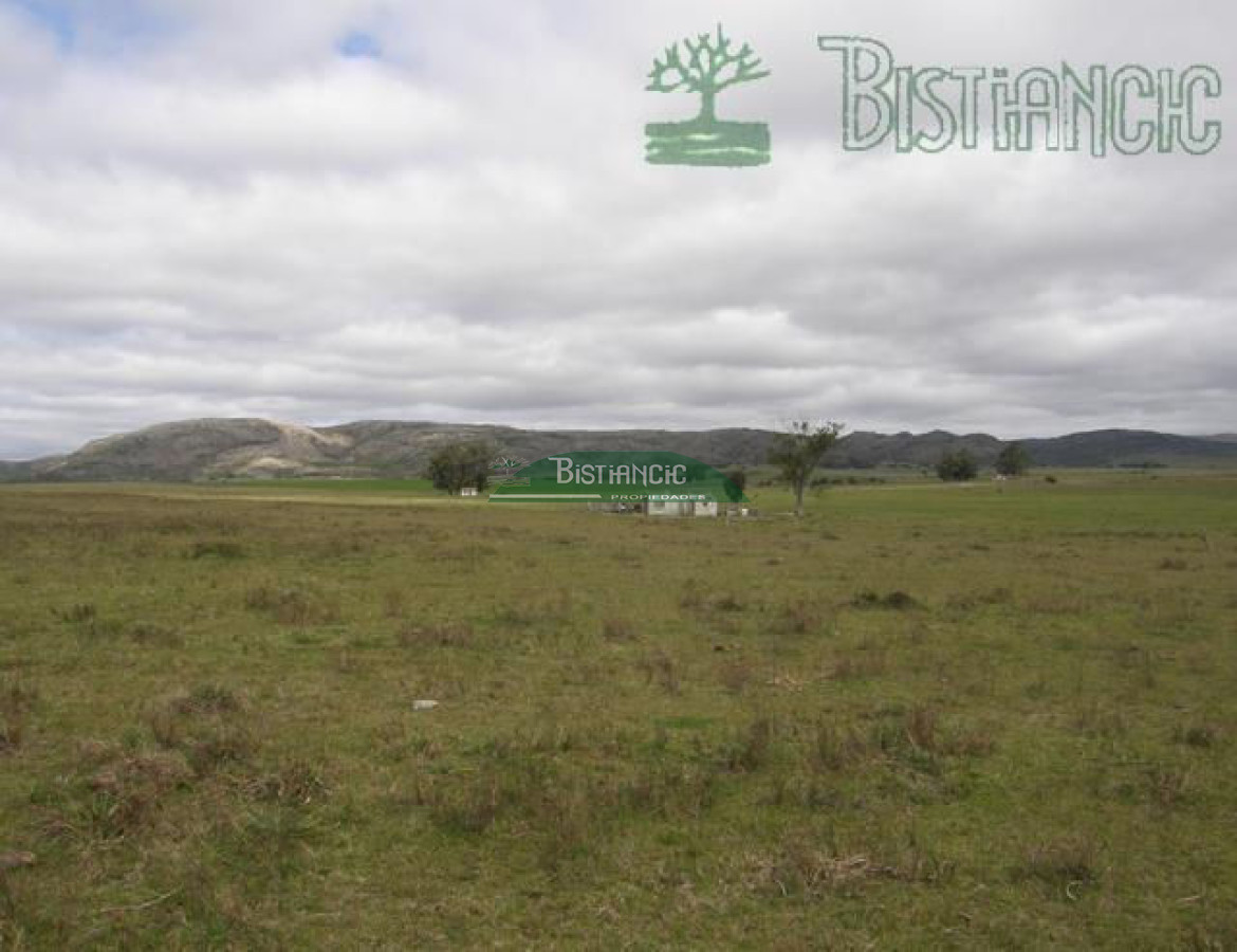 Campo Ref.2827 - Campo en , 
