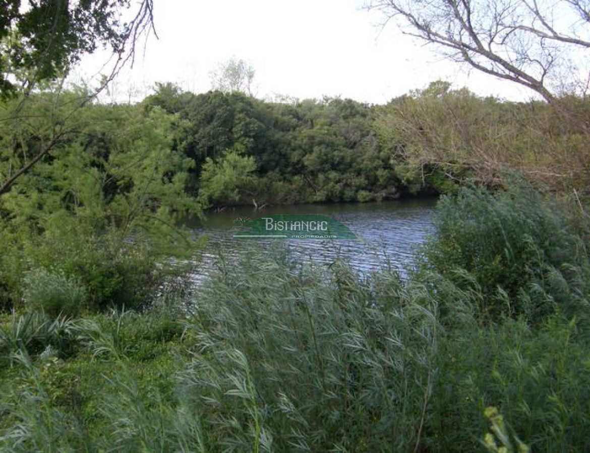 Campo Ref.2828 - Campo en , 