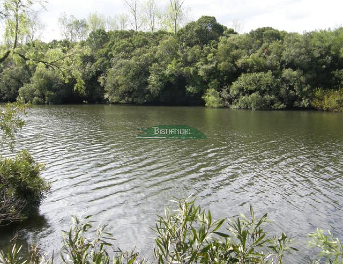 Campo Ref.2828 - Campo en , 
