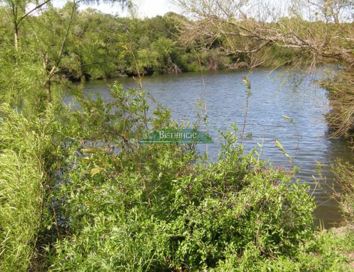 Campo Ref.2828 - Campo en , 