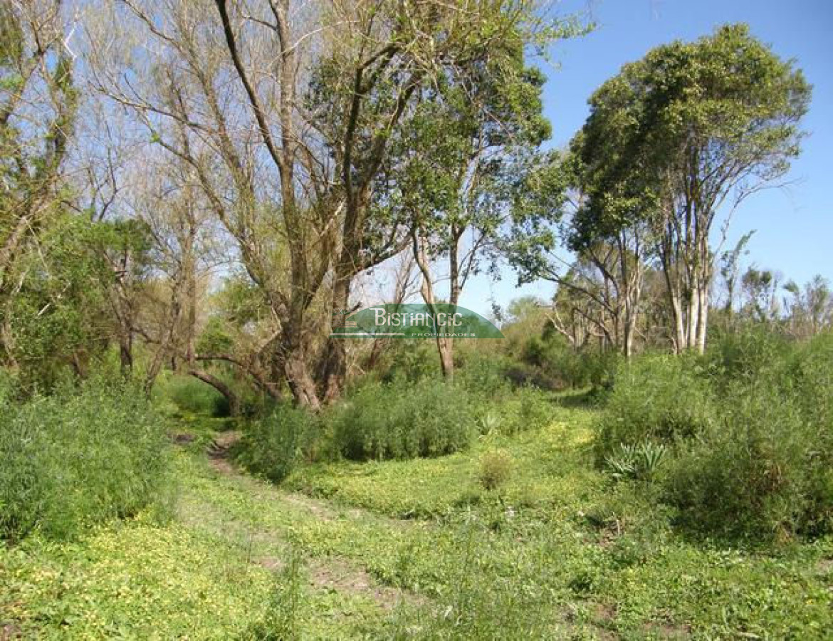 Campo Ref.2828 - Campo en , 