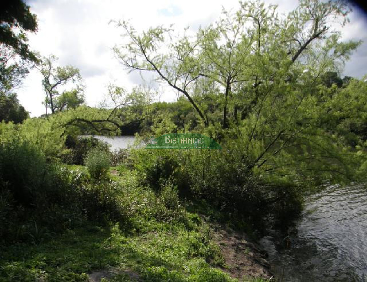 Campo Ref.2828 - Campo en , 