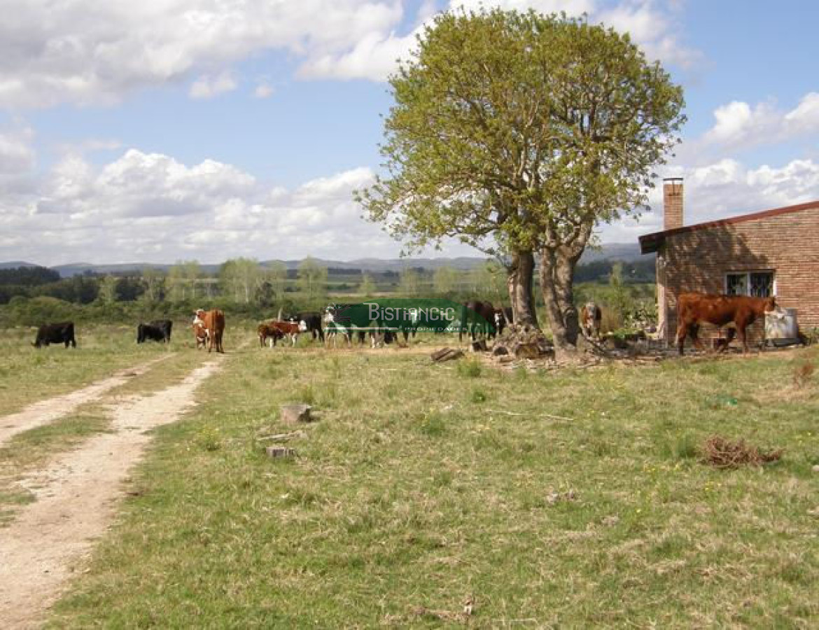 Campo Ref.2828 - Campo en , 