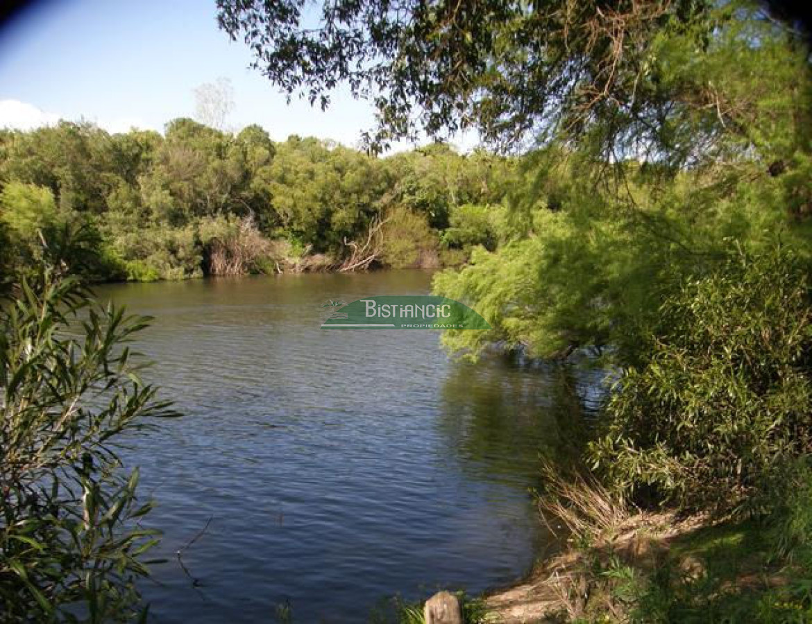 Campo Ref.2828 - Campo en , 