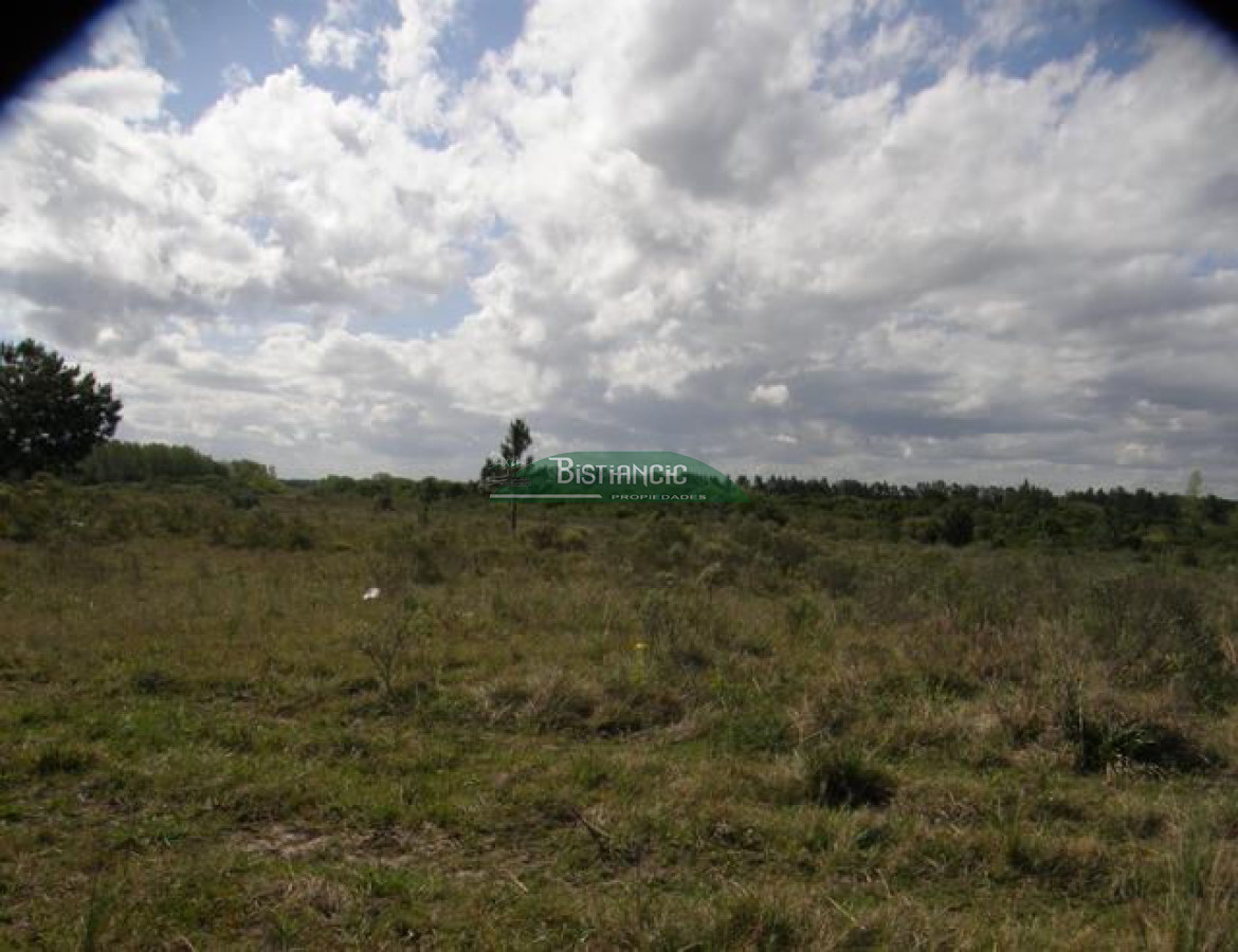 Campo Ref.2828 - Campo en , 