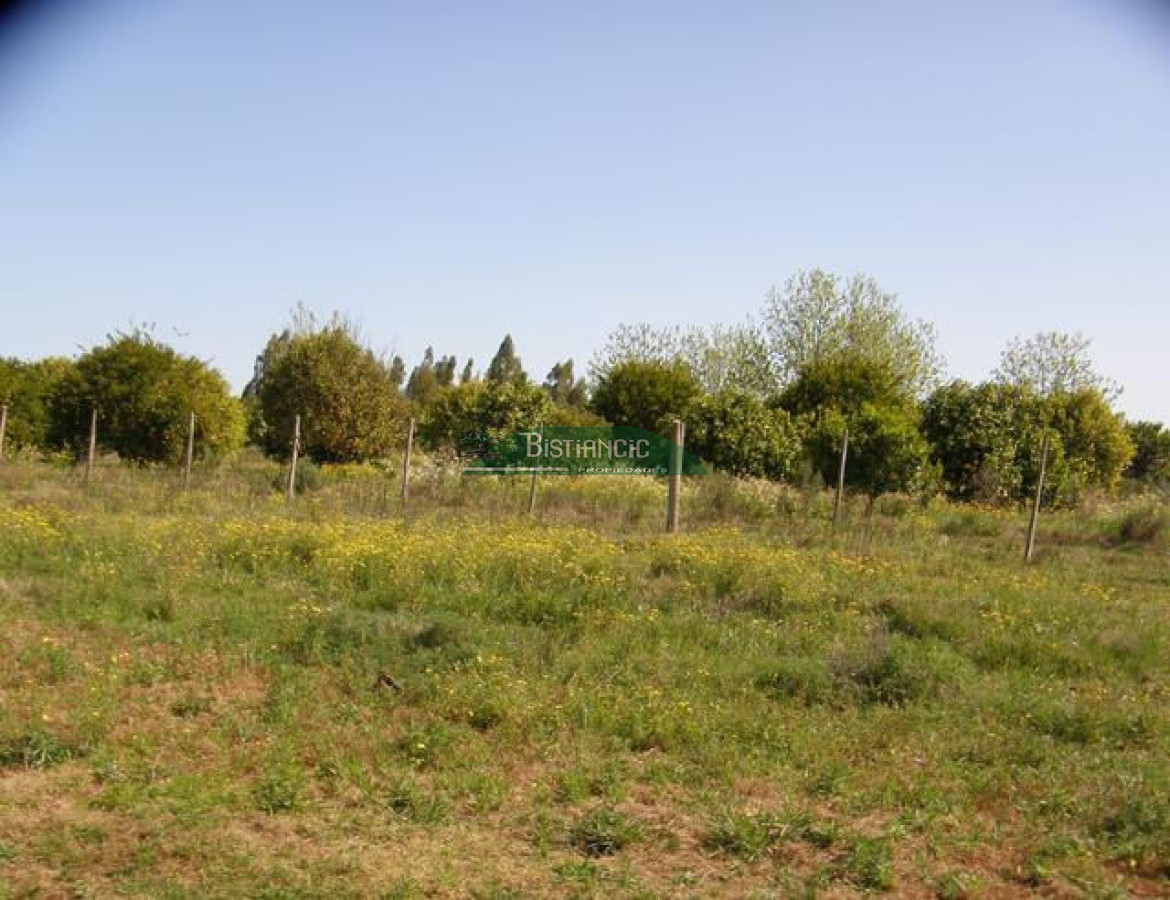 Campo Ref.2828 - Campo en , 