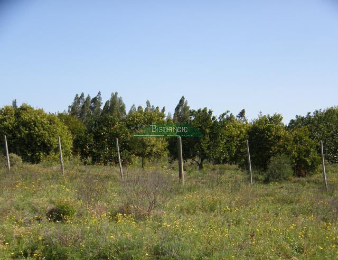 Campo Ref.2828 - Campo en , 