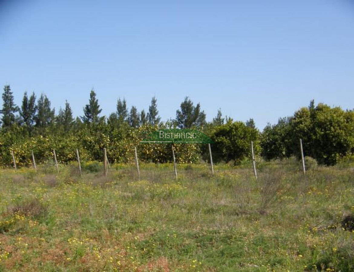 Campo Ref.2828 - Campo en , 