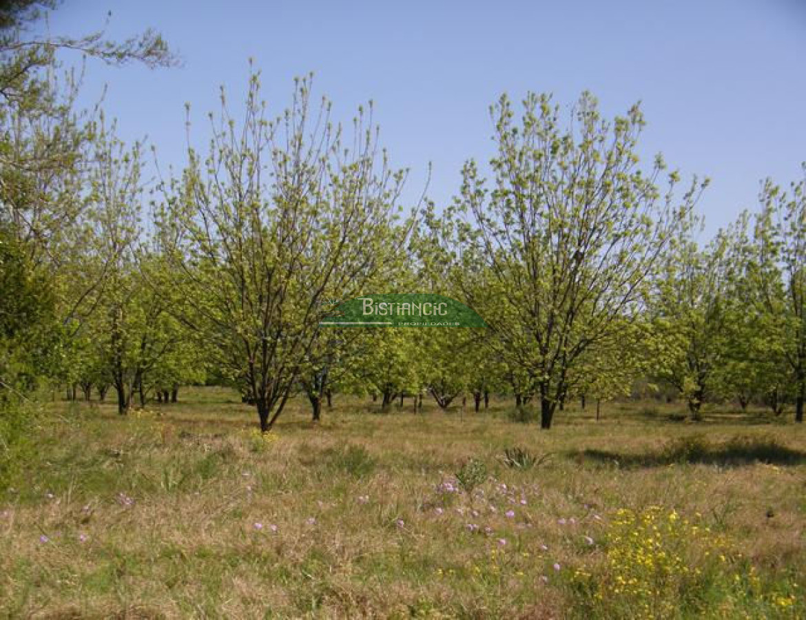 Campo Ref.2828 - Campo en , 