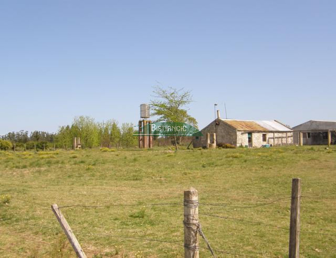 Campo Ref.2828 - Campo en , 