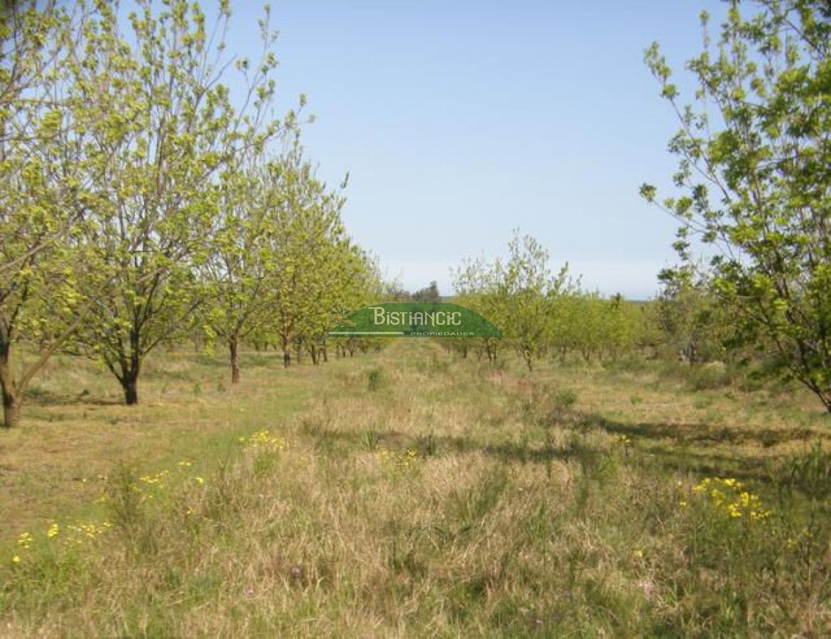 Campo Ref.2828 - Campo en , 