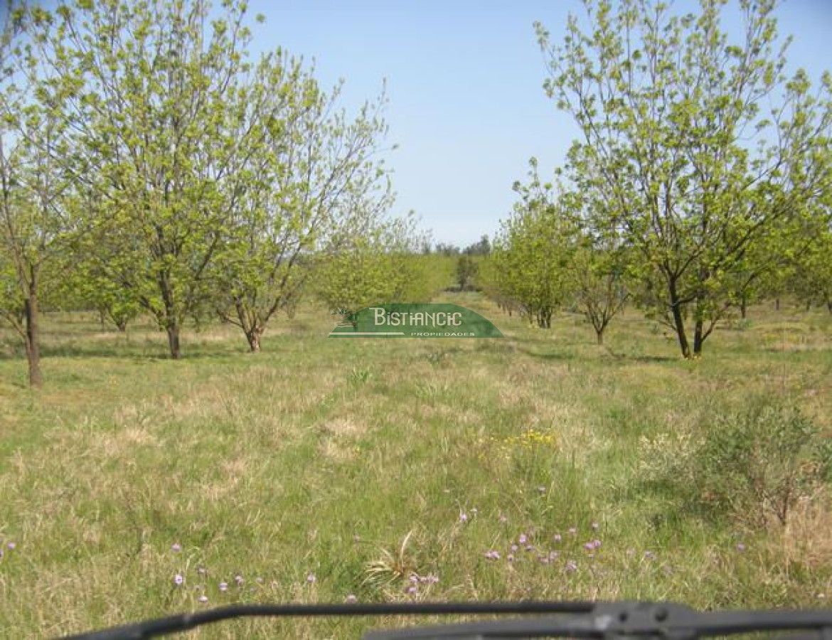 Campo Ref.2828 - Campo en , 