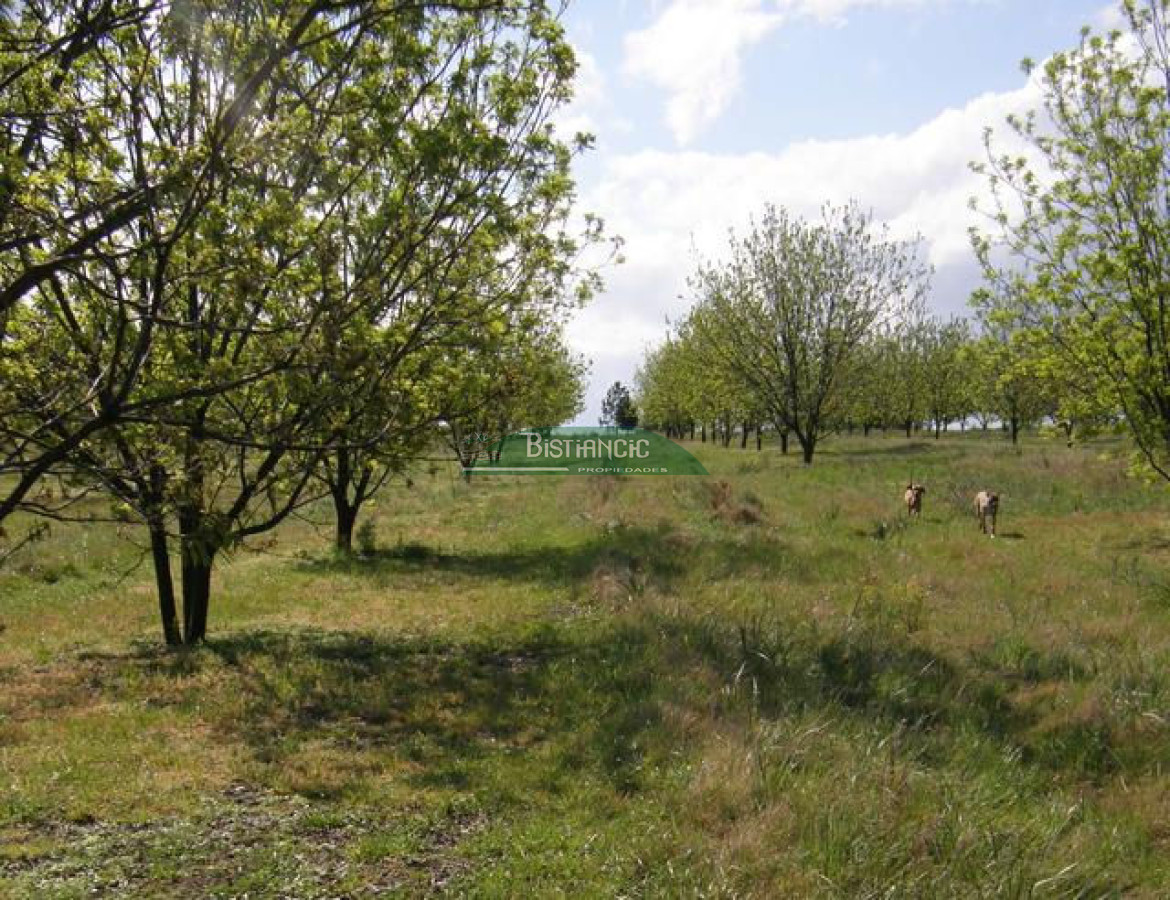 Campo Ref.2828 - Campo en , 